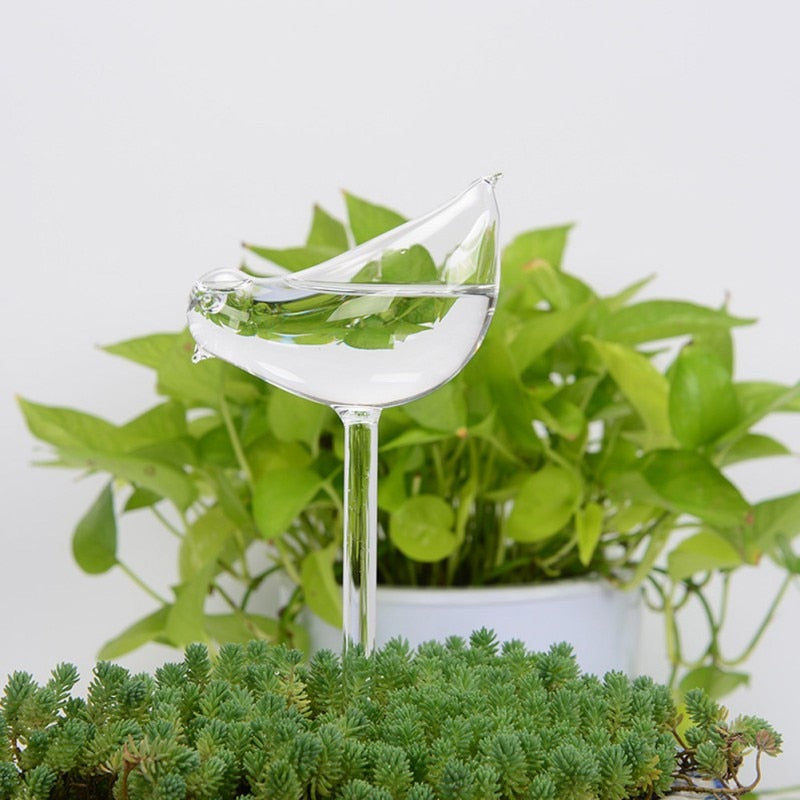 Self-soaking plant bulb