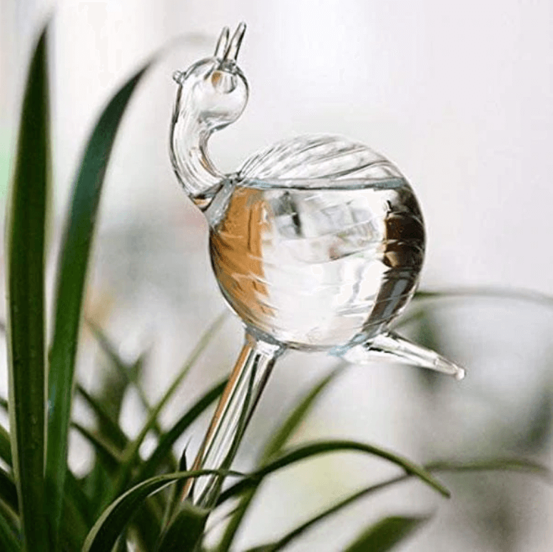 Self-soaking plant bulb