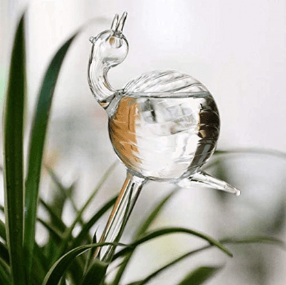 Self-soaking plant bulb