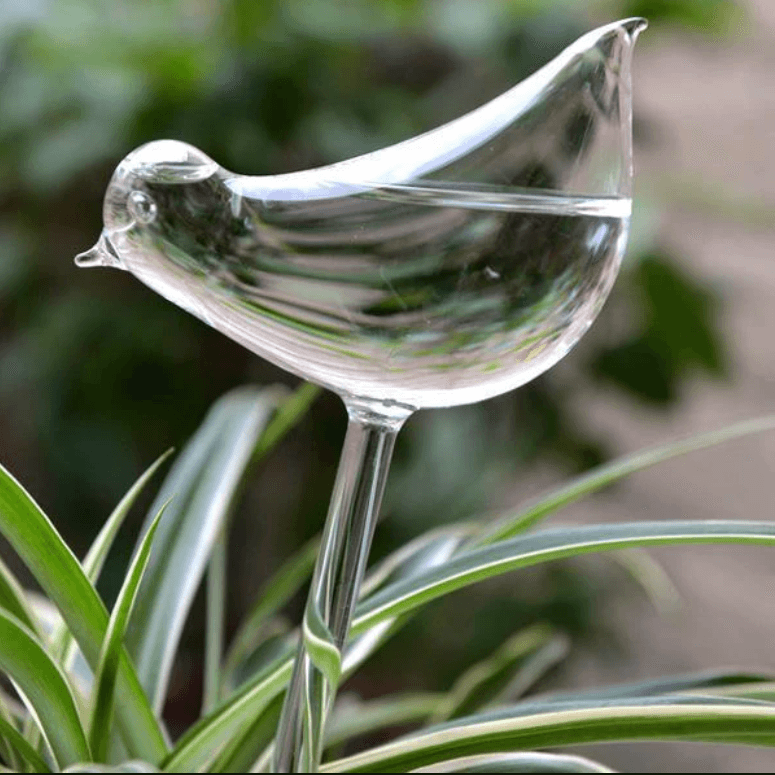 Self-soaking plant bulb