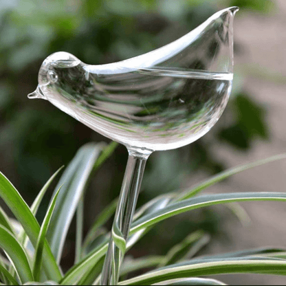 Self-soaking plant bulb