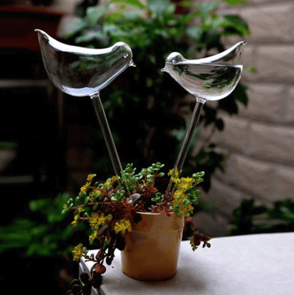 Self-soaking plant bulb