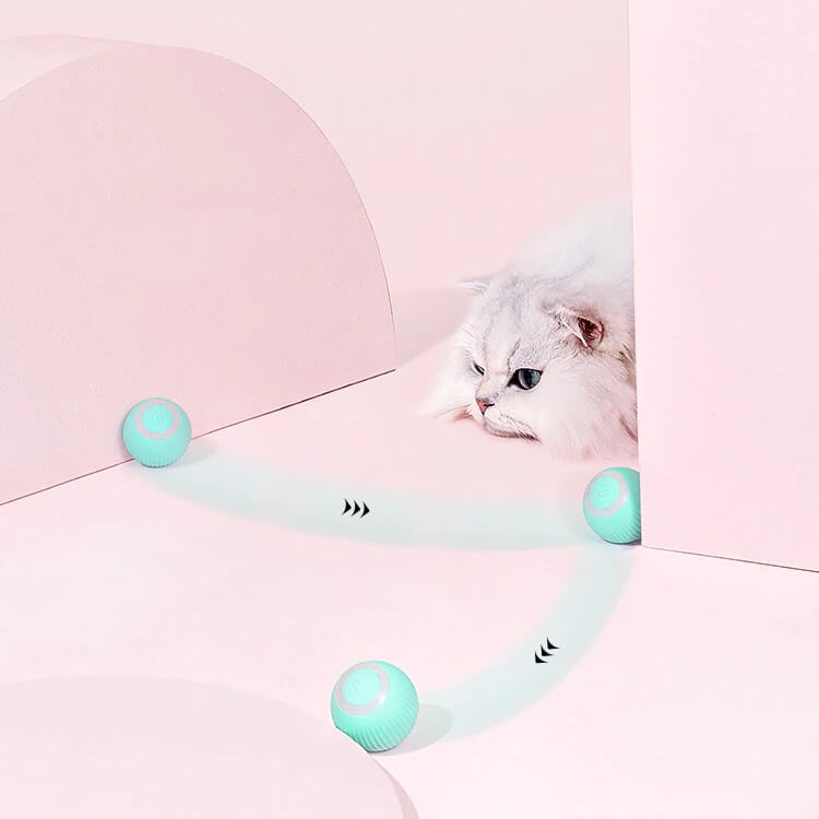 Smart Interactive Pet Ball Toy