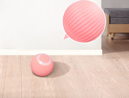 Smart Interactive Pet Ball Toy