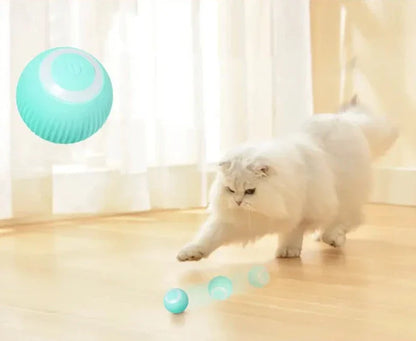 Smart Interactive Pet Ball Toy