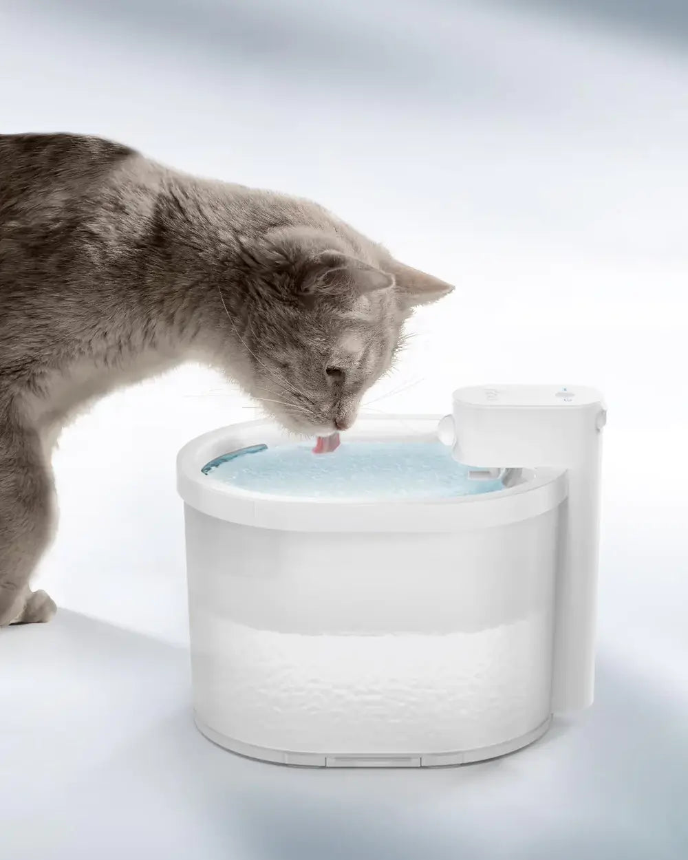 Smart Sensor Cat Water Fountain