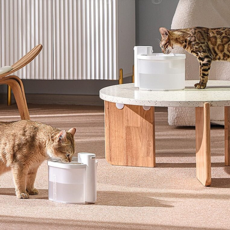 Smart Sensor Cat Water Fountain