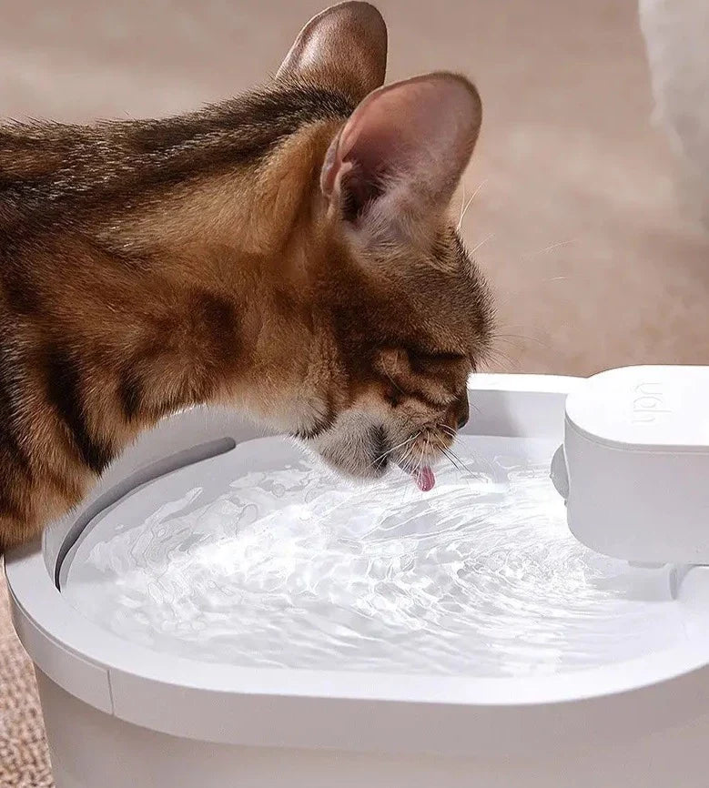 Smart Sensor Cat Water Fountain