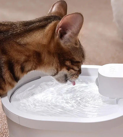 Smart Sensor Cat Water Fountain