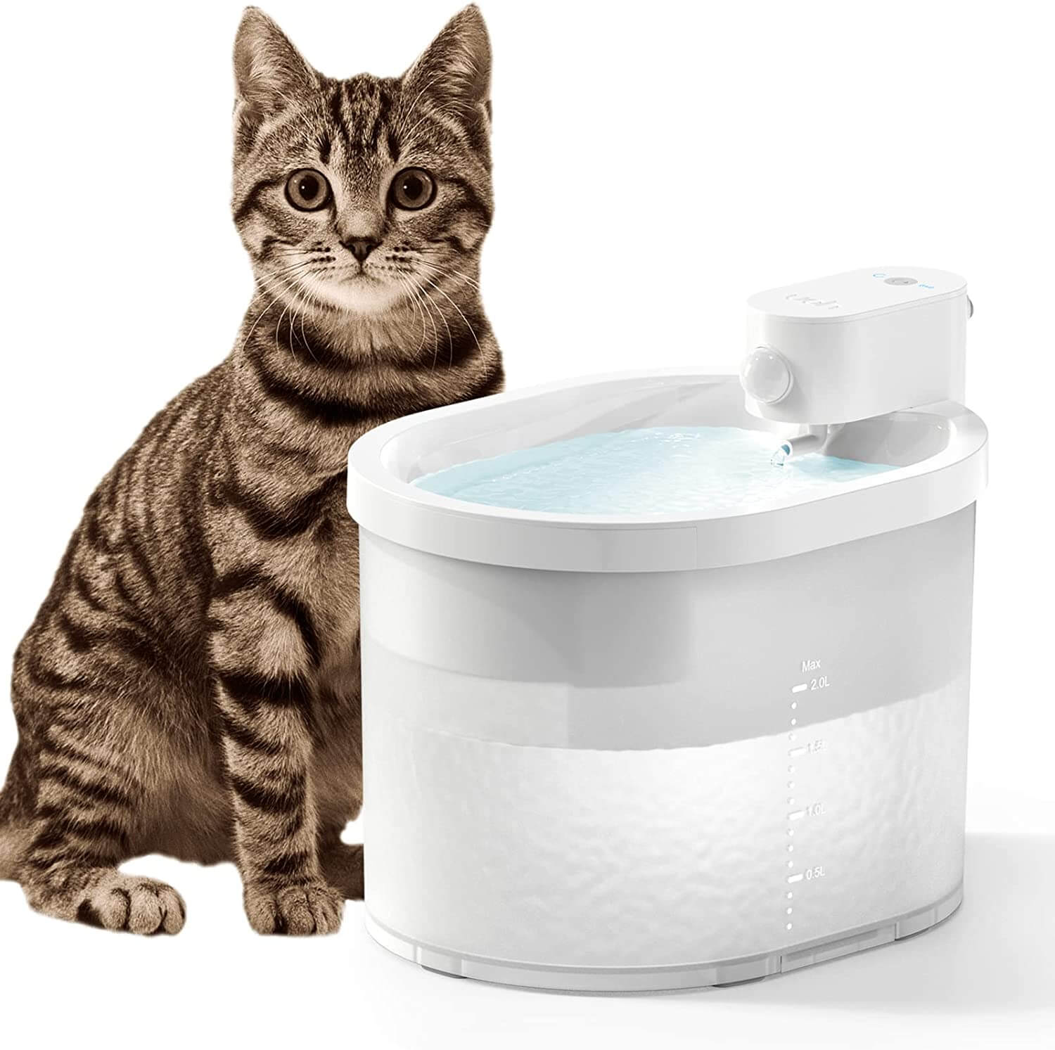 Smart Sensor Cat Water Fountain