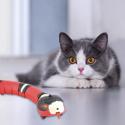 Snake Cat toys