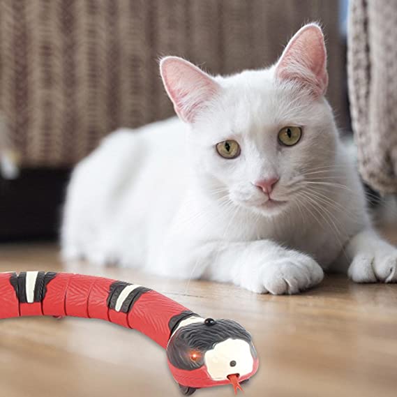Snake Cat toys