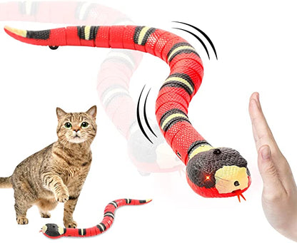 Snake Cat toys