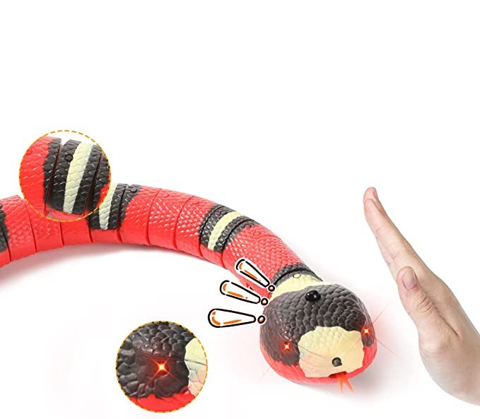 Snake Cat toys