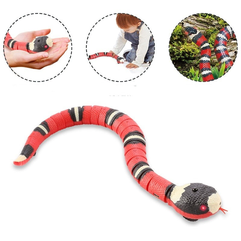 Snake Cat toys