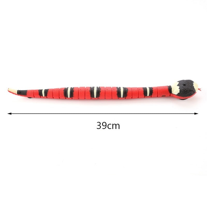 Snake Cat toys