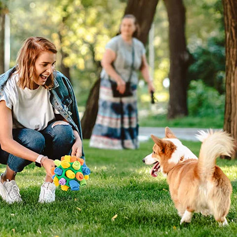 Snuffle ball for pets