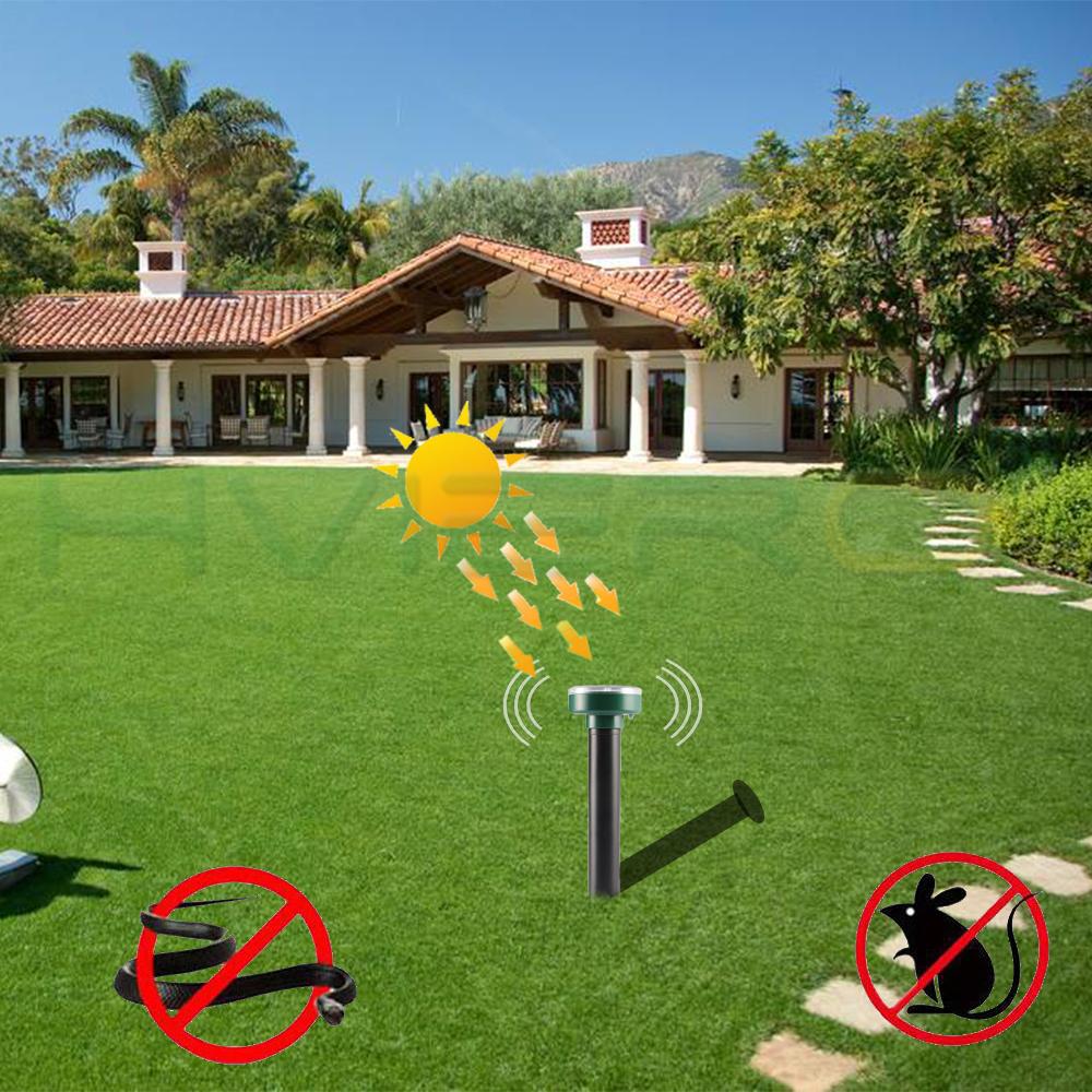 Solar-powered mole repellent