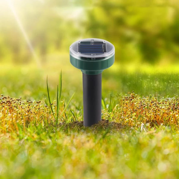 Solar-powered mole repellent