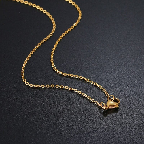 Stainless steel Chain Necklace