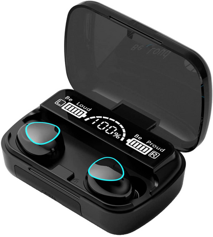 TWS Earplugs
