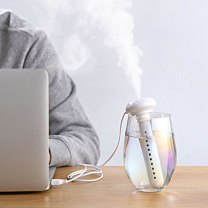 Water bottle Humidifier