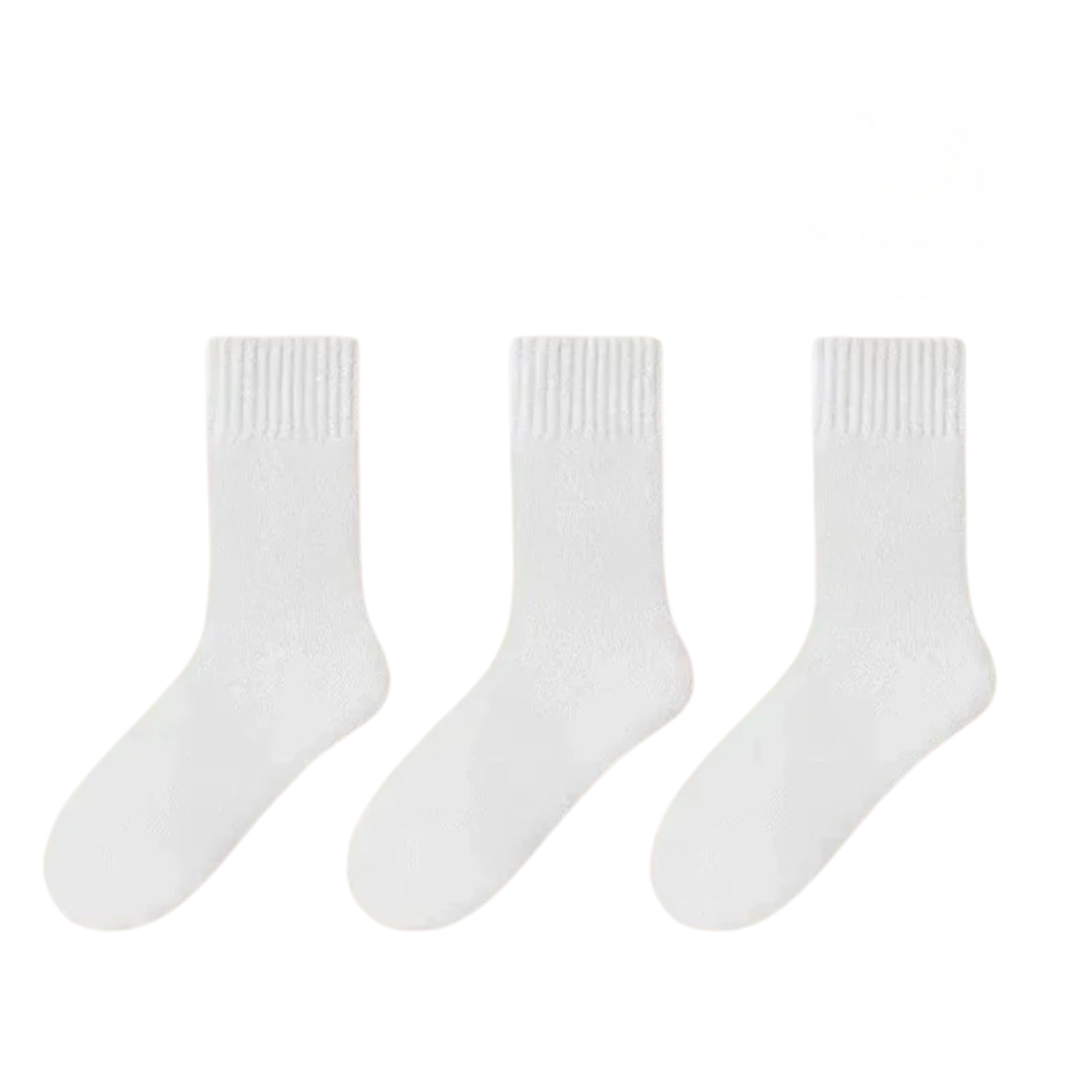 Winter Warm Socks (3 pairs)