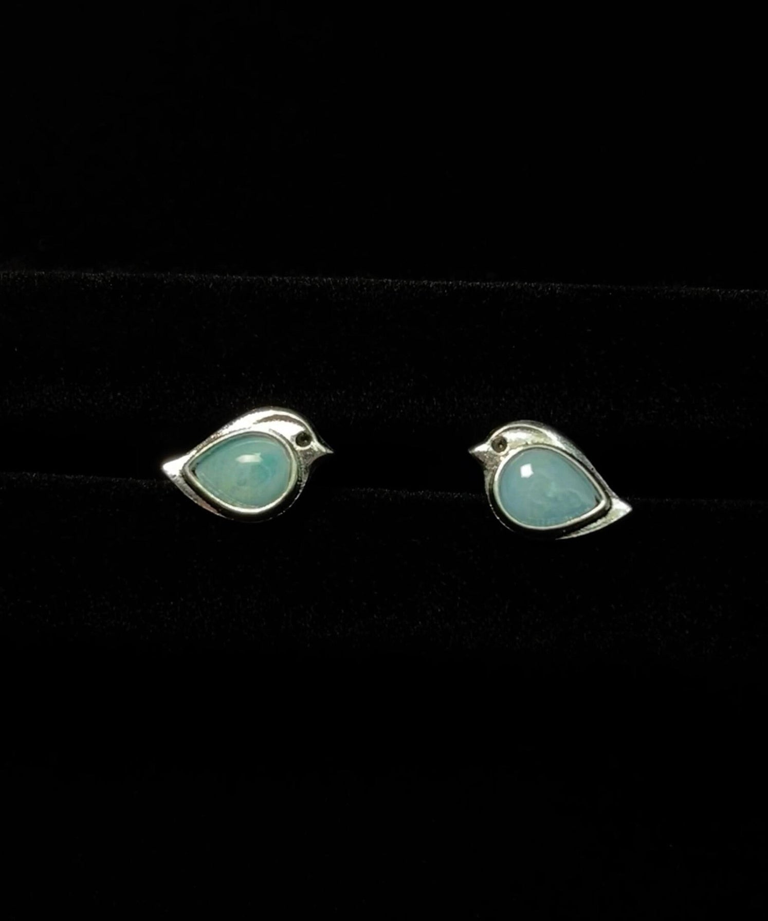 Women's Sparrow Stud Earrings Turquoise Accent 4