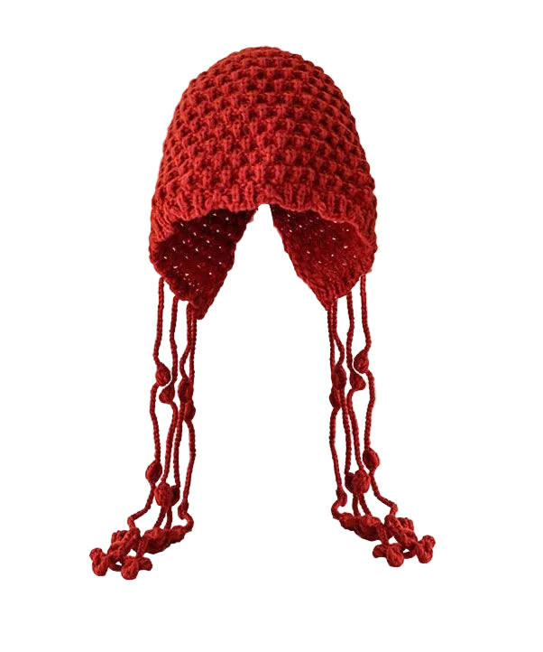 Women's Winter Hat with Tassels and Earmuffs, Cozy Knit Style Beanie 4