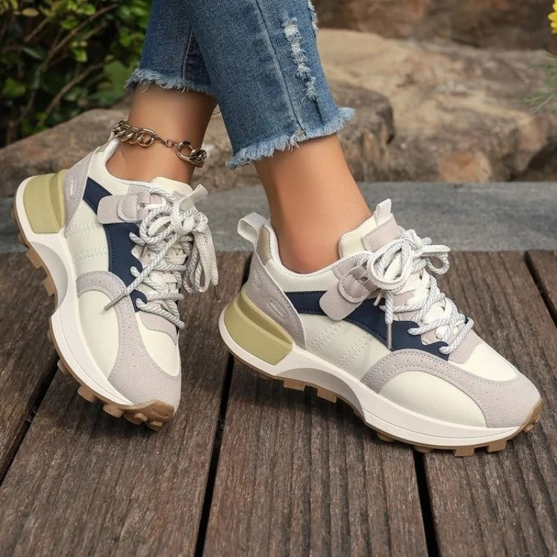 Women's Mixed Colour Sneakers