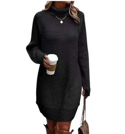 Women's Strick Dress Classic Soft Knit
