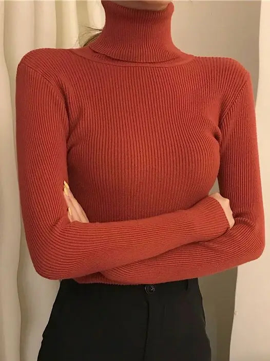 Women's Turtleneck Sweater Knitted Soft Cashmere for Autumn and Winter
