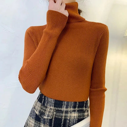 Women's soft turtleneck