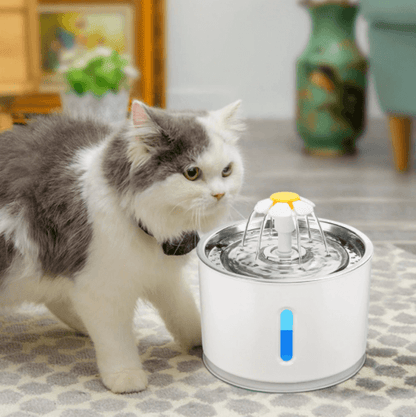 Hydration Cats Water Fountain