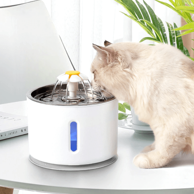 Hydration Cats Water Fountain