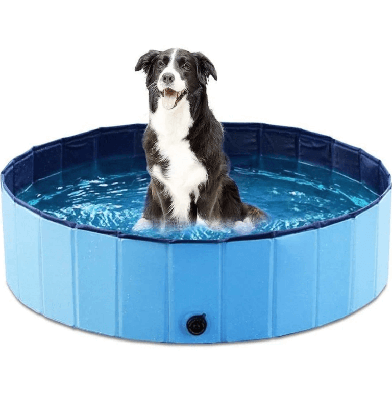 Portable Dog Pool