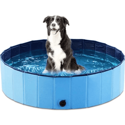 Portable Dog Pool