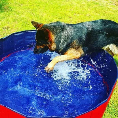 Portable Dog Pool