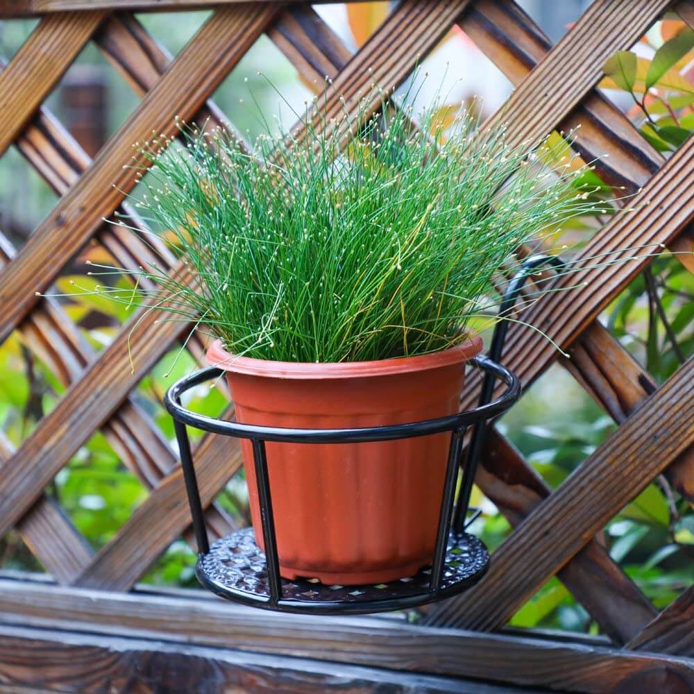 IJzeren Kunst Hangende Mand