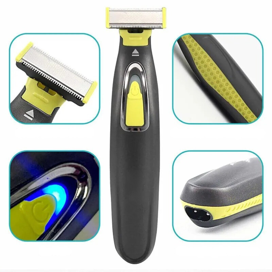 Portable electric shaver for the whole body