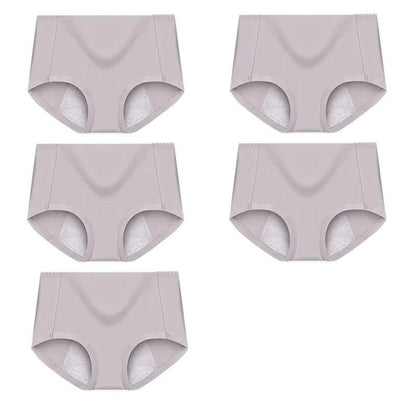 5 Pieces High-waist leak-proof menstrual panties