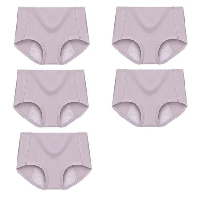 5 Pieces High-waist leak-proof menstrual panties